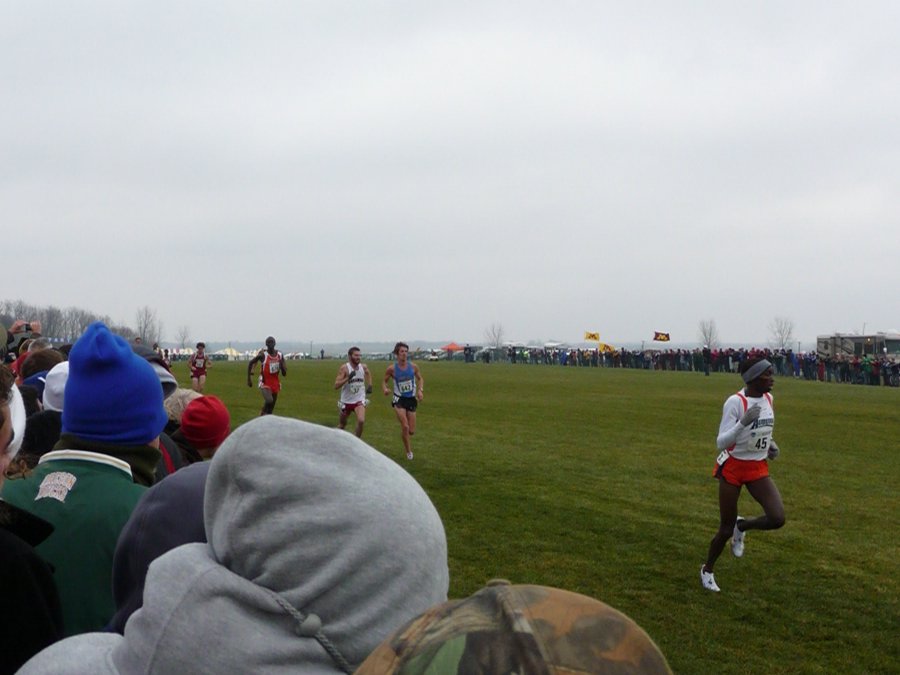 P1000983.JPG