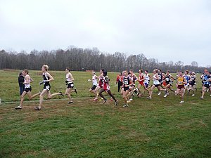 P1000497.JPG