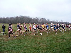 P1000500.JPG