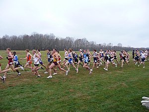 P1000502.JPG
