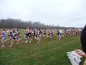 P1000505.JPG