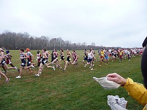 P1000506.JPG