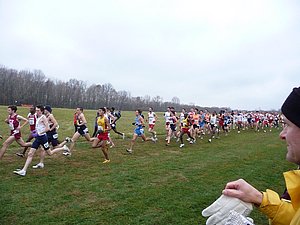 P1000511.JPG