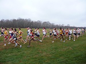 P1000513.JPG