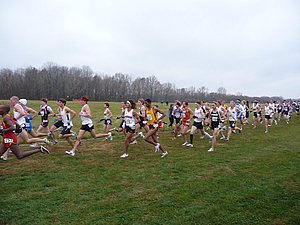 P1000515.JPG