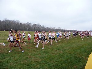 P1000517.JPG