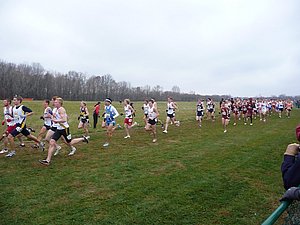 P1000521.JPG