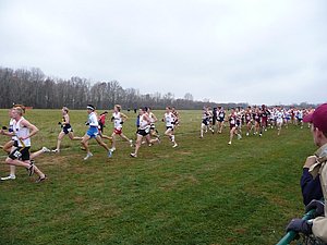 P1000522.JPG