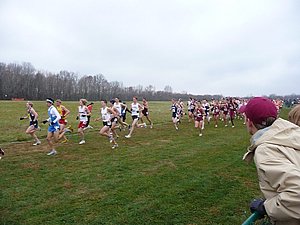 P1000523.JPG