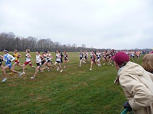 P1000524.JPG