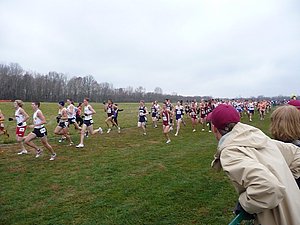 P1000525.JPG