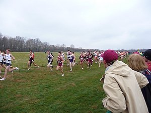 P1000527.JPG