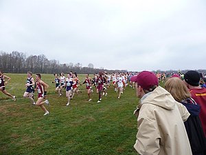 P1000529.JPG