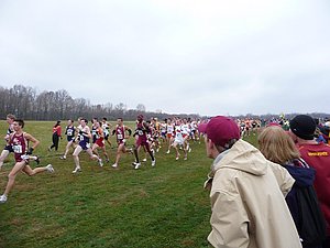 P1000530.JPG