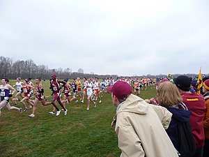 P1000532.JPG