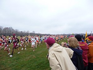 P1000533.JPG