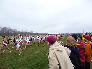 P1000535.JPG