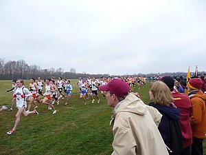 P1000536.JPG
