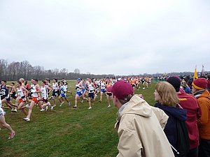 P1000537.JPG