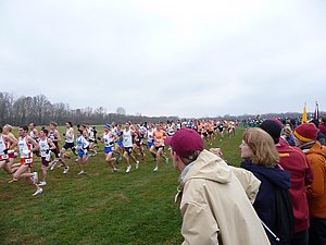 P1000538.JPG