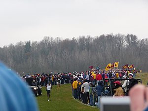 P1000539.JPG