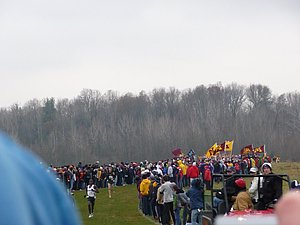 P1000540.JPG