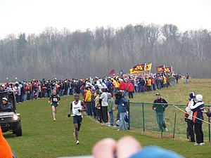 P1000542.JPG