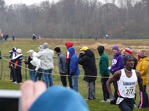 P1000545.JPG