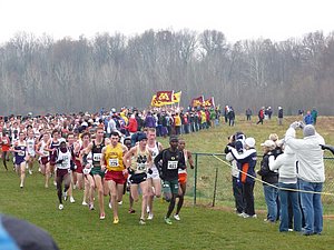 P1000555.JPG
