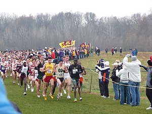 P1000556.JPG