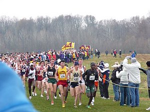 P1000559.JPG