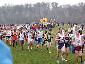 P1000567.JPG