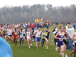 P1000568.JPG