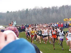P1000574.JPG