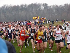 P1000577.JPG
