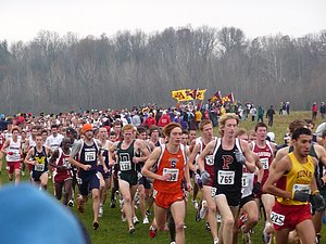 P1000580.JPG