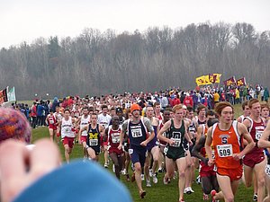 P1000582.JPG