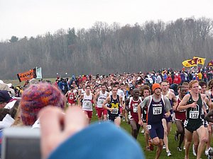 P1000585.JPG