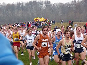 P1000590.JPG