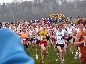 P1000593.JPG