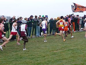P1000624.JPG