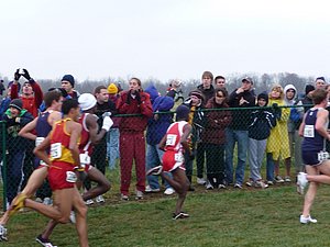 P1000628.JPG