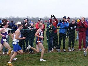 P1000630.JPG