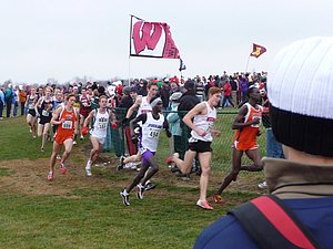 P1000641.JPG