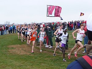 P1000642.JPG