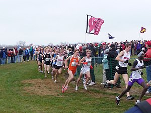 P1000643.JPG