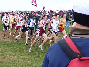 P1000653.JPG