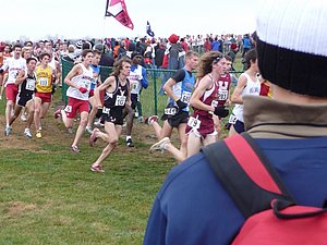 P1000654.JPG
