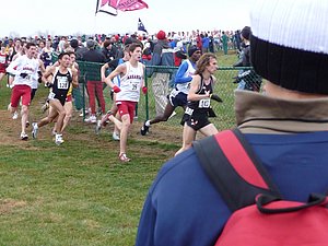 P1000656.JPG