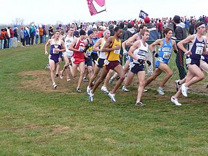 P1000675.JPG